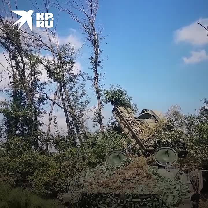 �� ������� ��������� �������� ������������ ���������� ���: ���������� � ���� ��� �� ���������� ����������� �� 17 �������