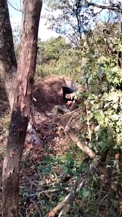 ������������ �������� ���-131 �������� ���. �������������� �� ���������� �������