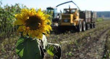 � ����� �������� ������� ������ �������� ���� �������������