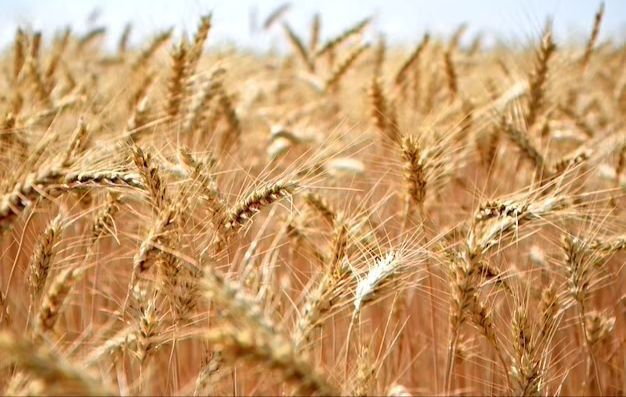 ���������� ������� ��������� ������ ������ ��������