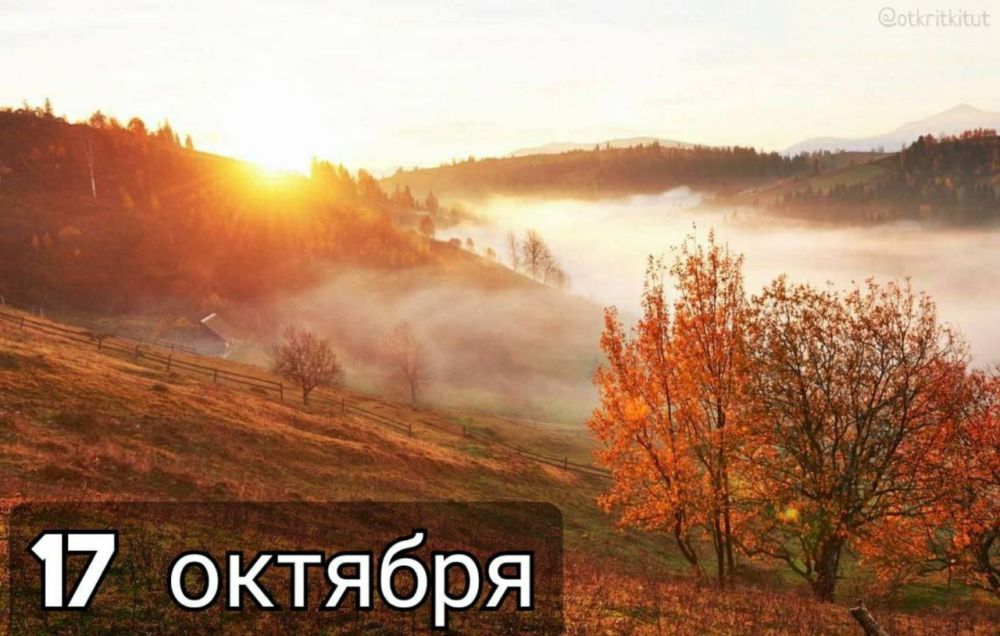 ��������� 17 �������. ������������� ���� ������ �� ���������� ������ ���� ��������� ��� ������ ���� ��������� ������� ����...