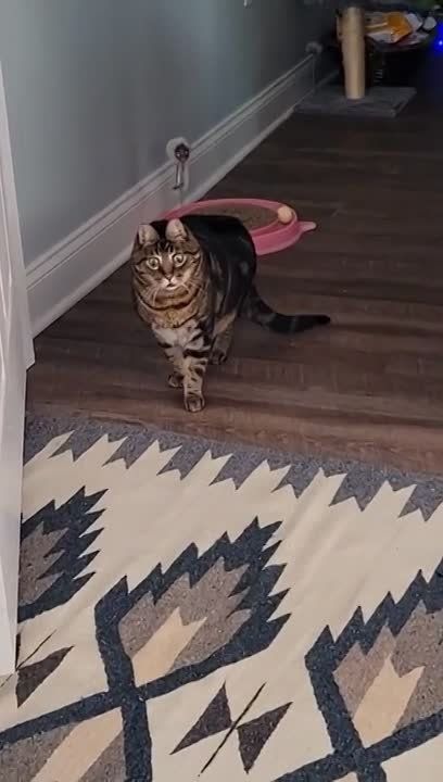 ������� ��� ������..... ���� �� �������, ��� ��������� ������ � ������ ��� �������, �� �� ����������. ��� ���� ����� ������ �� ����������