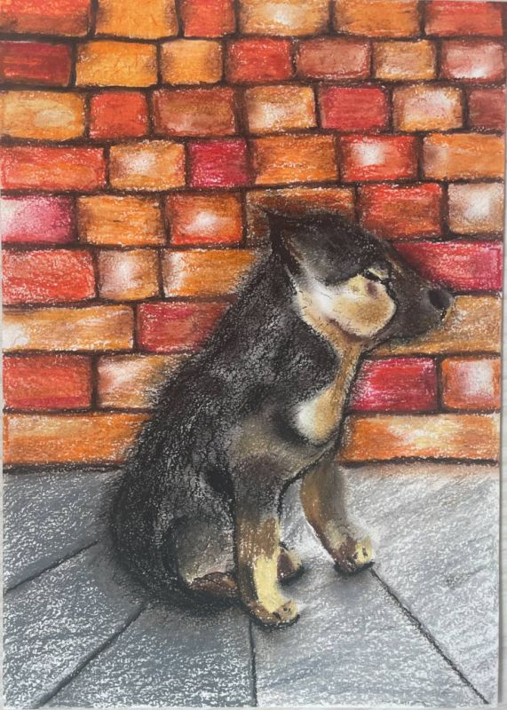 ��������� ���������: � ��������� ��� ���������, ��� ���� ���� �� ������ ����������� ������, ������������ � ������������, �� � ����� �����������!