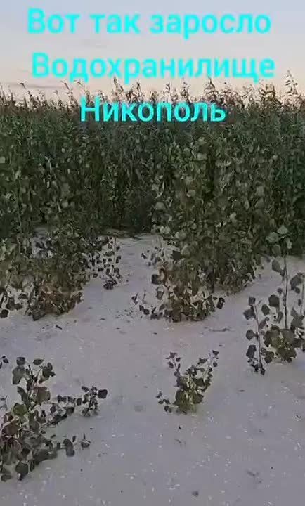 ��� ��� ������� ��������� �������������