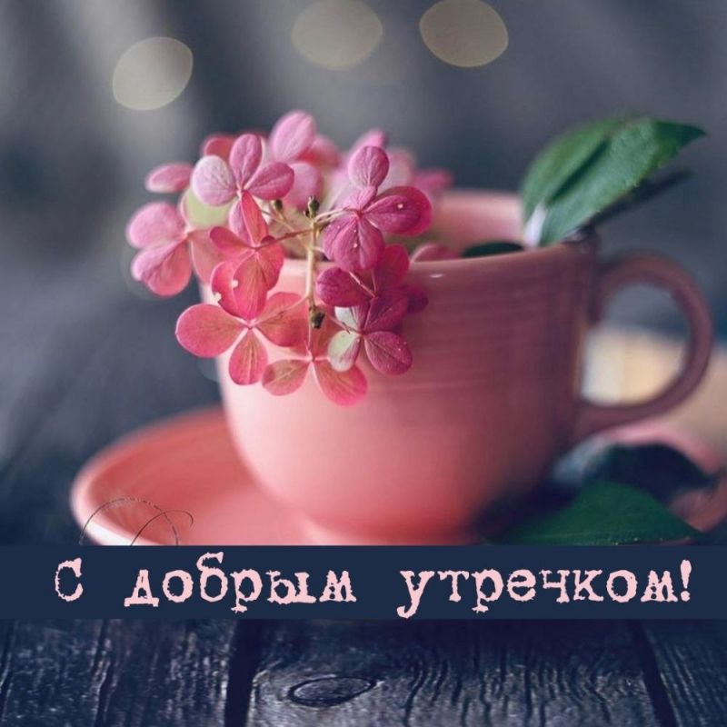 ������ ����. �������, ��������� ��� ����������� �����, ������ ��������� ��� � �������� ��� � ���� � ������� ��������� ������, ������� ����������� �� ������. ��� �������. ����������� �� +4 ����� �� +13 ����