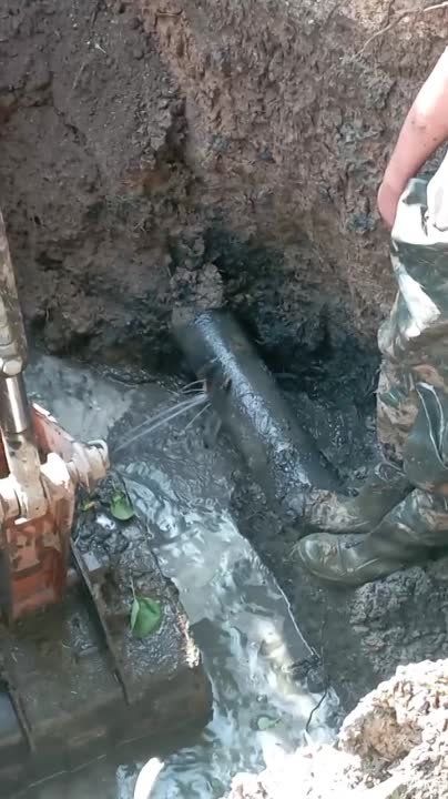 ������������ ������ ��������-����������������� ������ � ���������