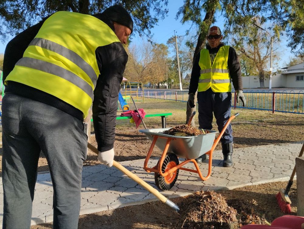 � ������������� ��������� ������ ����������� ������ �� ��������������� ����������