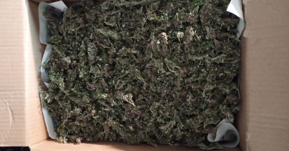 ������ ���������� ������ ������ ������ ������� ��������� � ������