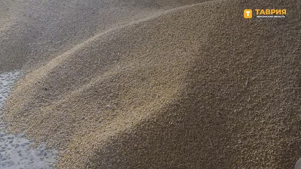 �������������� "������" ������ �� ������������ ������ ����������� ��������� � ���� ����������