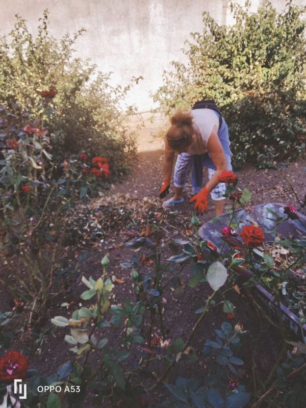 ������ �� ���������������