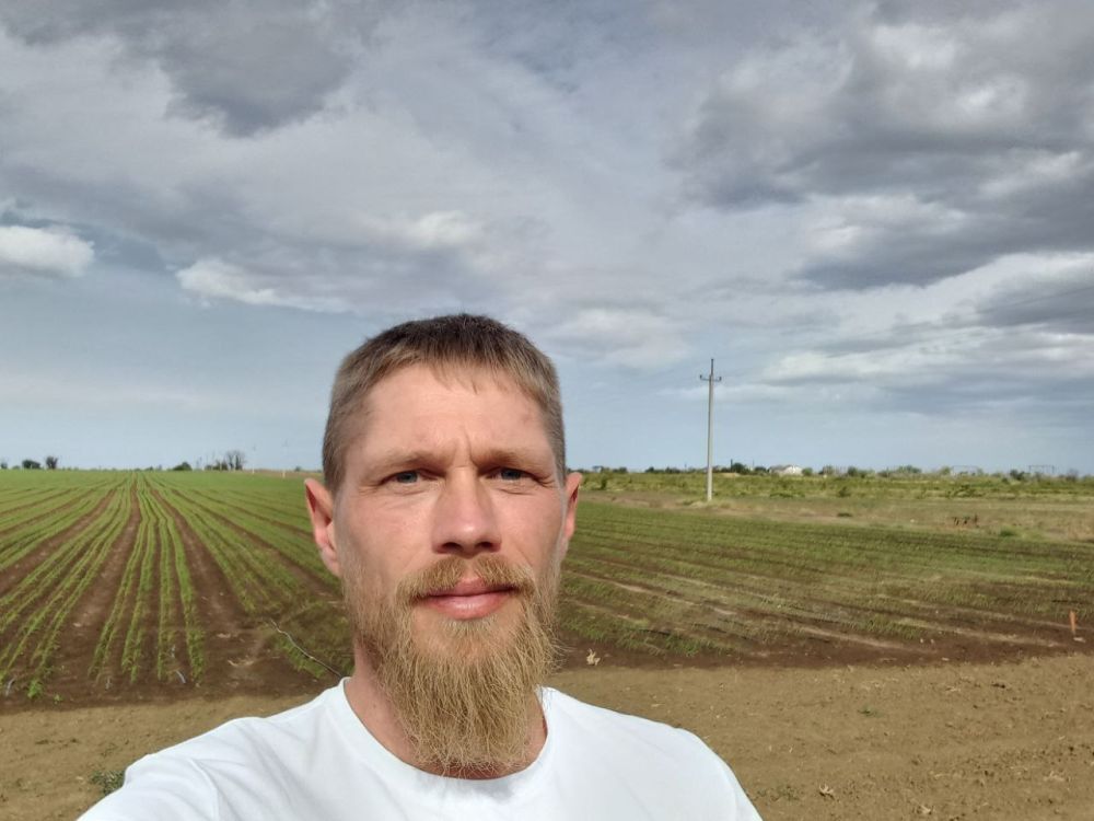 � ������ �����, �����������!