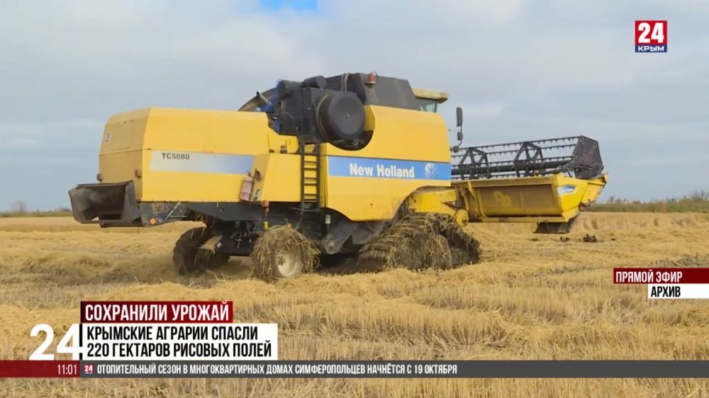 �������� ������� ������ 220 �������� ������� �����