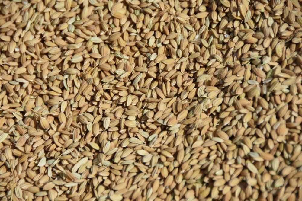 ������� ����� ��������� ������ ���