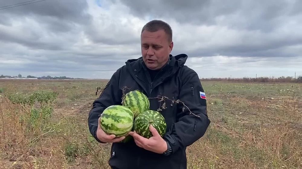 ����� ����������: ����� - ���� ��������� �� ����