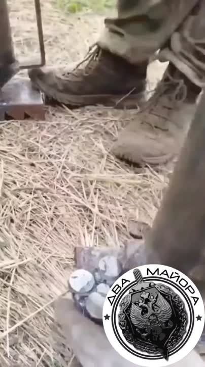 ��� ������: ���������� �������. ����������� �������. �����, ���� ���������� �� ����� ����������