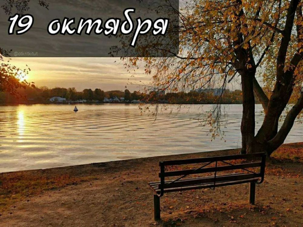 ��������� 19 �������. ������������� ���� ��������� ������ ������������� ���� �������� ���� ��������� ������ � �������...