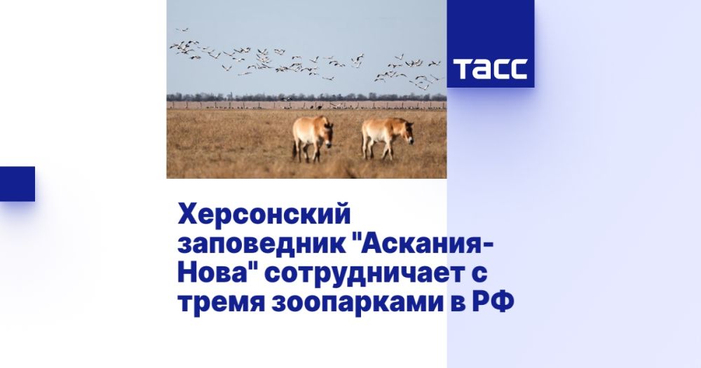 ���������� ���������� "�������-����" ������������ � ����� ���������� � ��