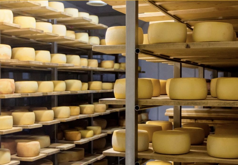 �� ��������-������ �������� ���������� ������� ���������� ��� ���������������