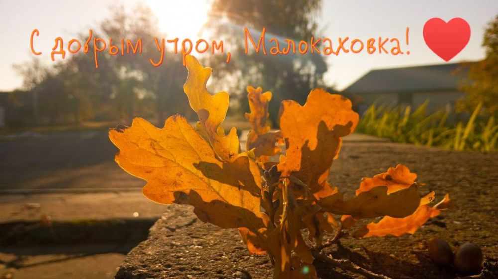 �������, �������� ����, �����������!