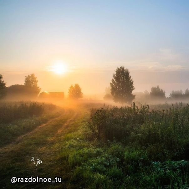 ����������, ������ ����!