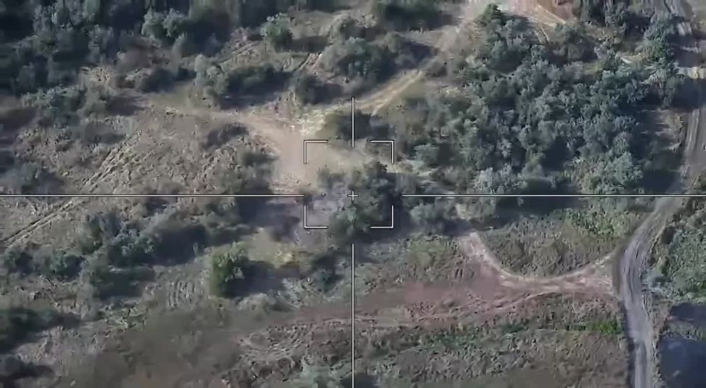 ����� ������������ �������� ����������� 155-�� ����������� ������� �777 ��� ������������� ����������� ������� � ������ ���� ������� � ���������� �������