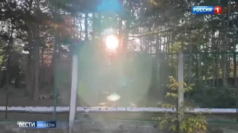 ���������� �������. ������ ������������ ������������� �������������� ����� � ������� �� ������ �������� ����� � ����������...