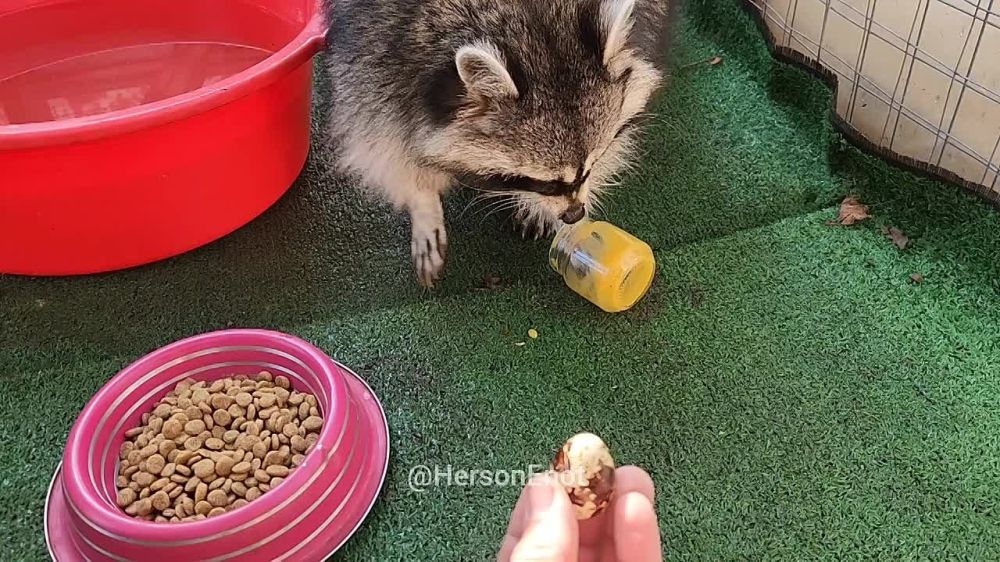 ���� �� �������: � ��� ��� � ���?. � � ��� ��� ����������� �����! ����������� � ��� �������, ����������� ���� � ������ � ����� ��������. ����� ������! ������� ���, ������! ��� @HersonEnot