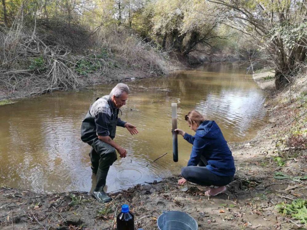 � ����� ������ �� ����������� � ������� ����������� ���� ������, ����������� �� ���������� ������������� ������