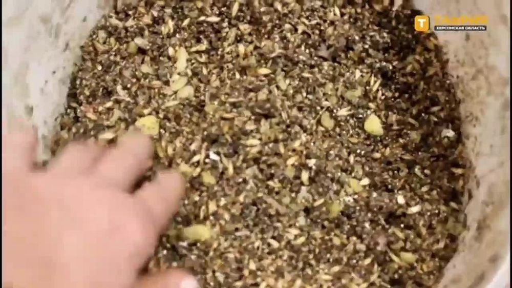 �������������� "������" ������ � ���������� � ���� � ���������� ����������� �������-����