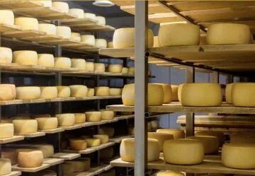 �� ��������-������ �������� ���������� ������� ���������� ��� ���������������