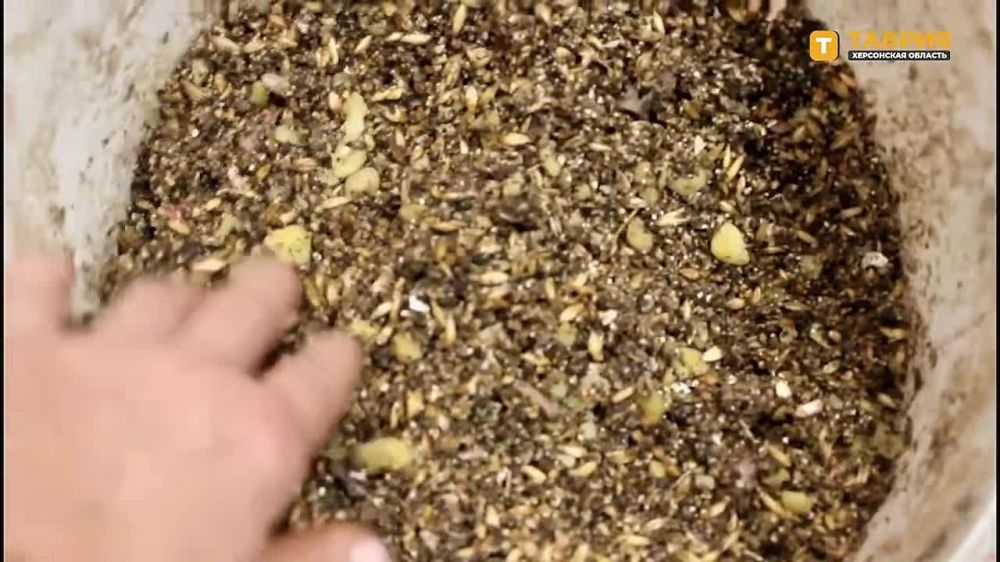 �������������� "������" ������ � ���������� � ���� � ���������� ����������� �������-����