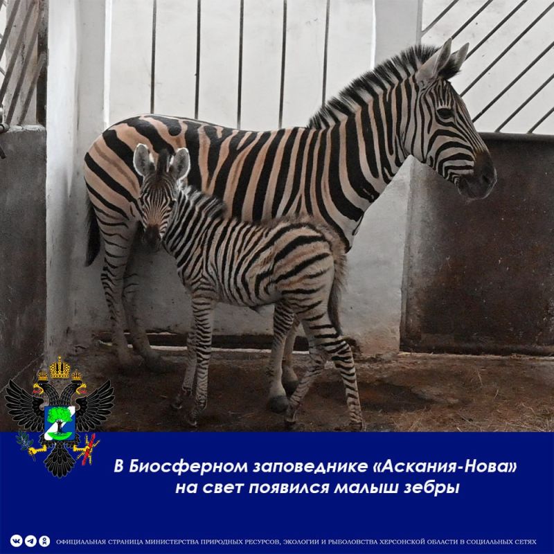 � ����������� ��������-���� ���������� � �� ���� �������� ��������� ��������