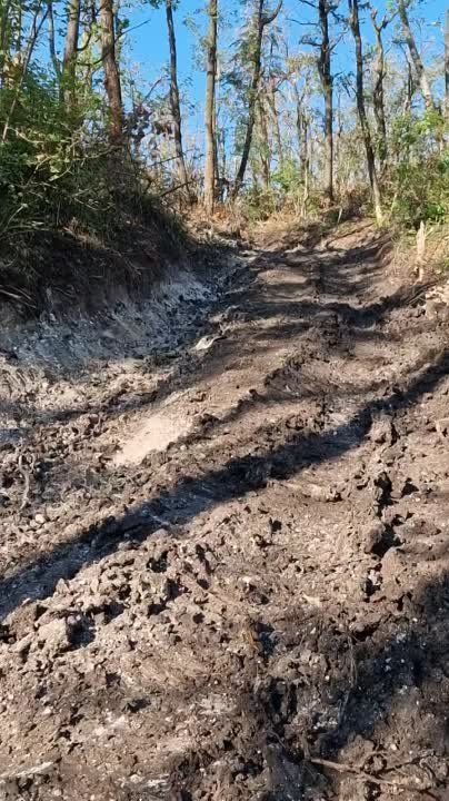 �� ����������� ���������� ��� ��������