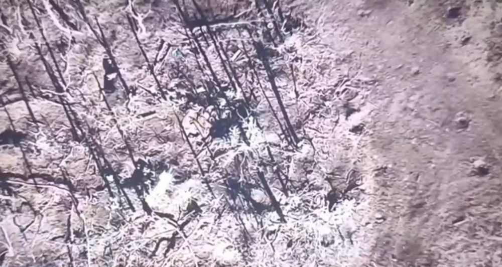 72 ����� ����� ����������� ����� ���������� ���������� ������������ �� ����� ������ ������������ �����������