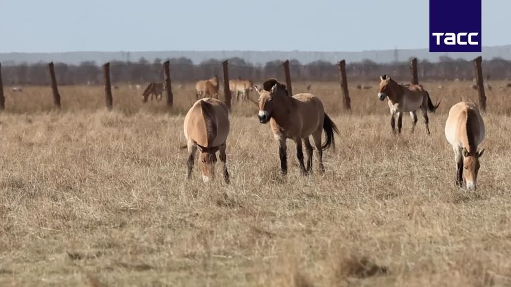 ���������� ���������� "�������-����" ������������ � ����� ���������� � ��. ����������� ��������� ��������� ���������� ��� � ������������� "������-������"