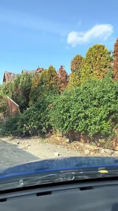 � �� ��� ������.... �������, ������ �������