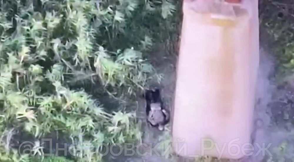 � �� ��� ������.... ���������� ������� ������������ ���� ����������� ����� �� �������������, ��� ����� 63-������ ������� ������, �� ������ �������� ������������ �� �������