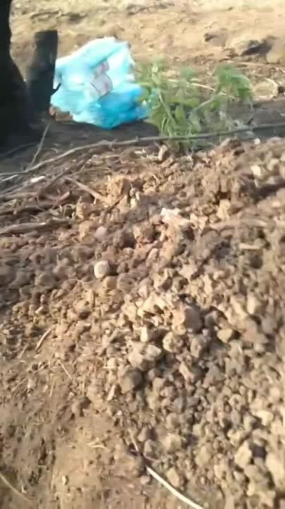 �� �������� ��). �� ����� �����! �������������� �� ���������� �������