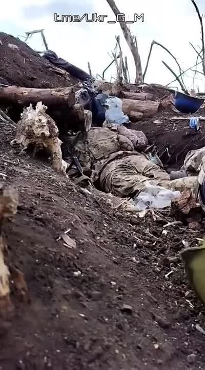 ������� �����, �� ��� �����