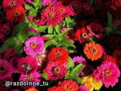 ����������! ������ ����!. ����. ����� �� �����..