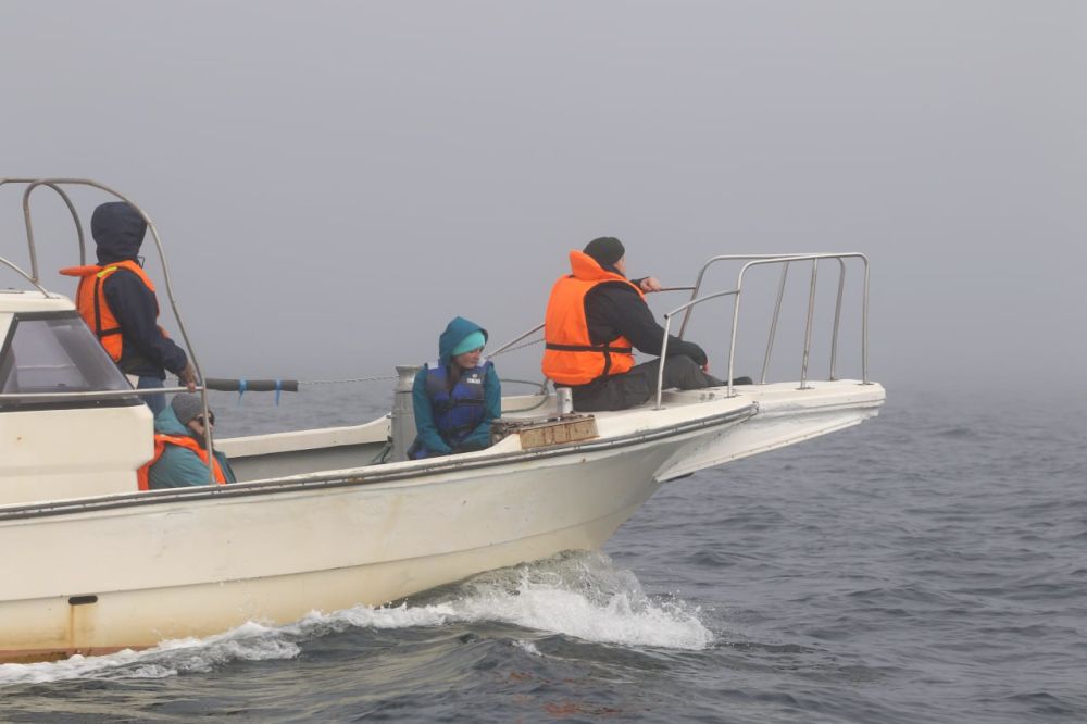 � ��������� ��������� ������������ ���������� ��������������