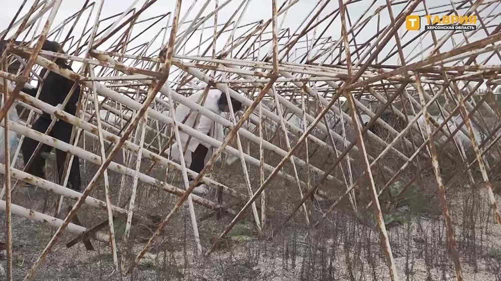 ������������� ����� ������ � ������������