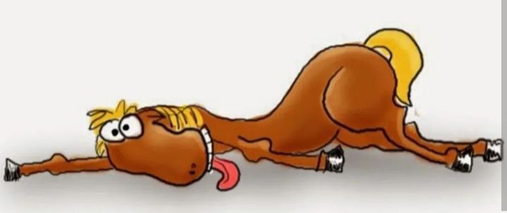 � ����� ���� ������! � ����� ���� � �������