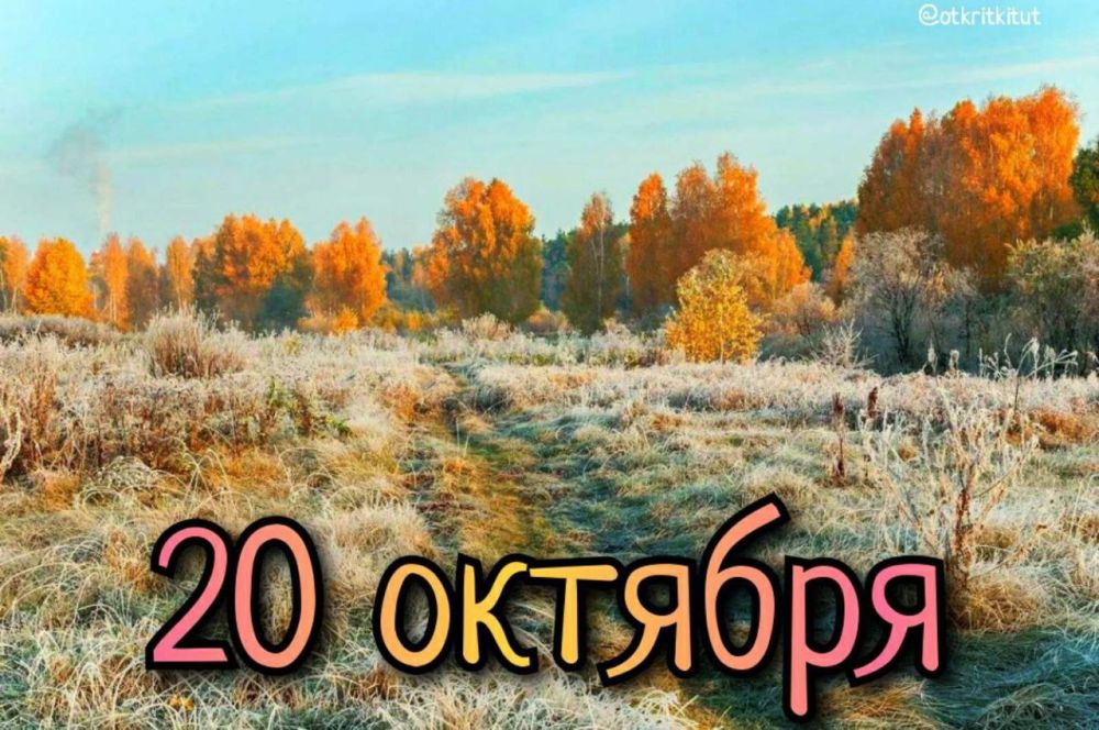 ��������� 20 �������. ���� �������� ��������