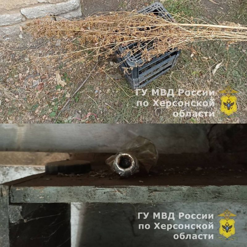 � ������������ ������ �������� ���������, ������� ������ ������� � ���������