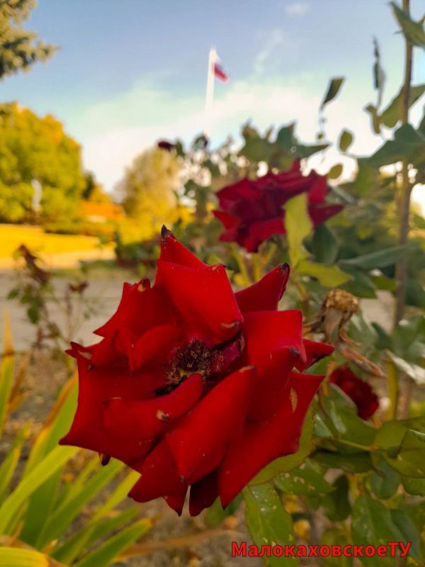 � ������ �����, �����������!