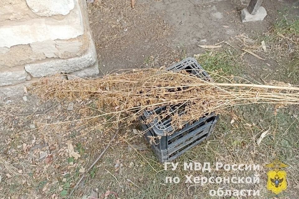 ������ ������������� ������ ��������� � ������� �������