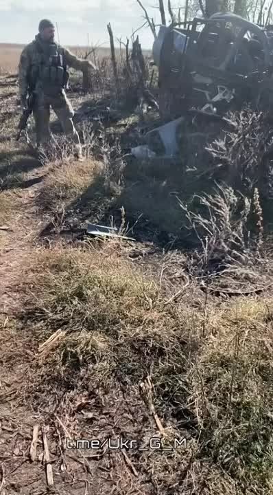 ��������� ������� ����������� �� ���� ������������� ������� �� ����������� �����������