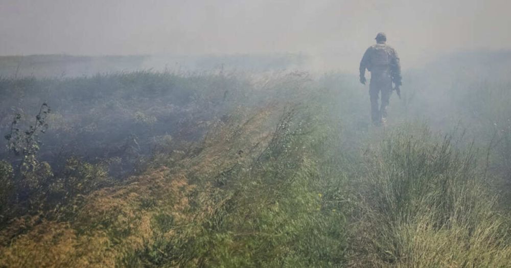 ������: ����������� ��� ���������� ������ �� ����� ����������� �����