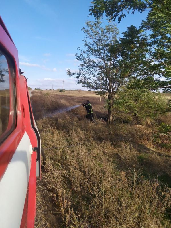 ������������ ��������������� ������